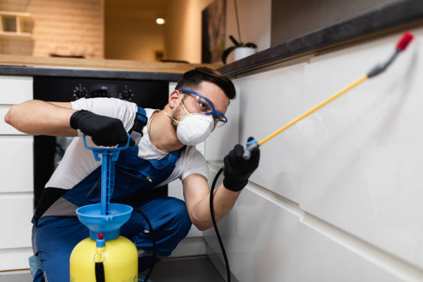 Best Commercial Pest Control Services  in Solon, IA