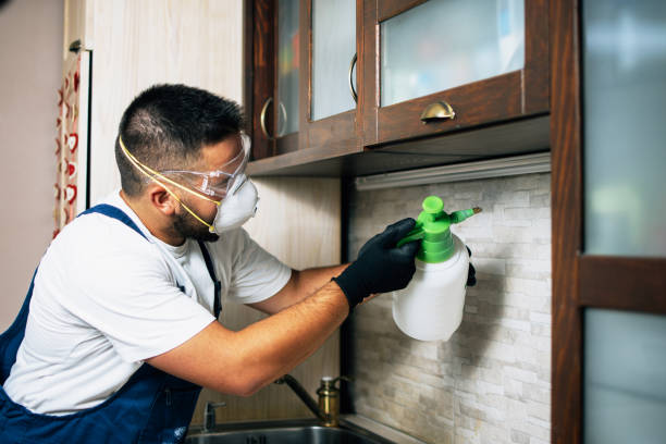 Best Best Pest Control Companies  in Solon, IA