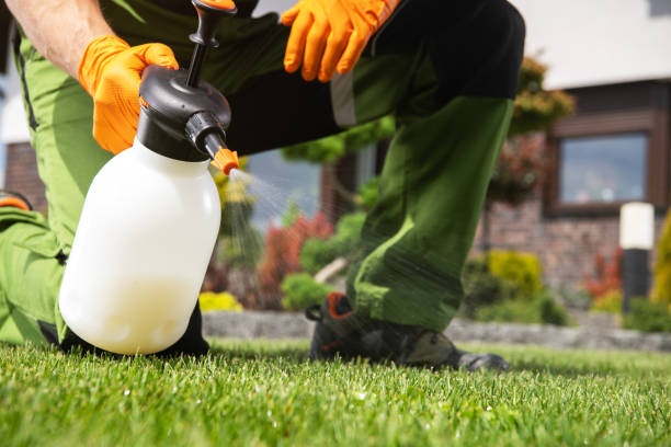 Best Residential Pest Control  in Solon, IA