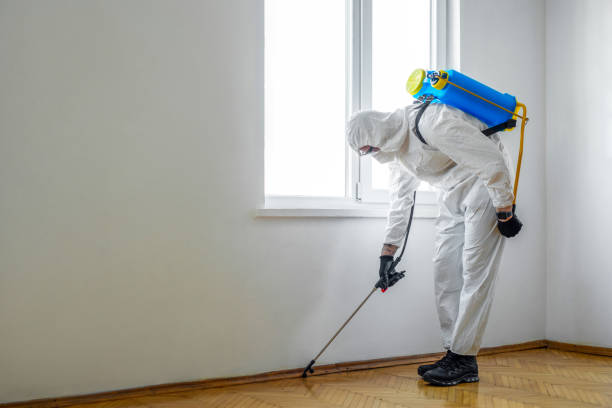 Reliable Solon, IA Pest Control Solutions