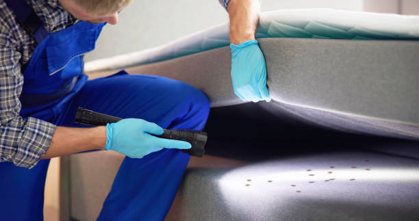 Best Commercial Pest Control Services  in Solon, IA