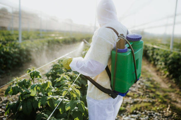 Best Bed Bug Extermination  in Solon, IA
